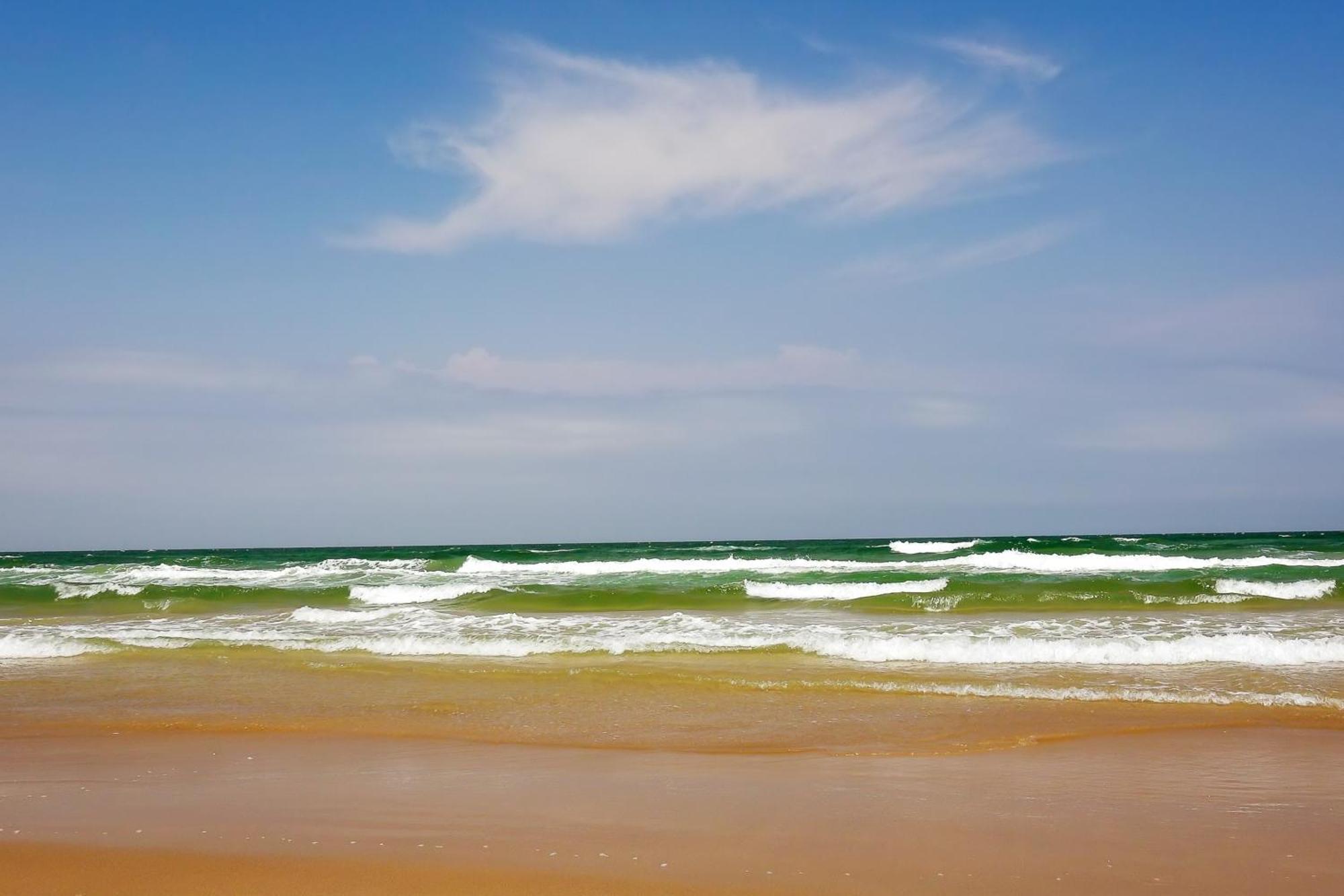 Sunchase IV Villa South Padre Island Exteriör bild