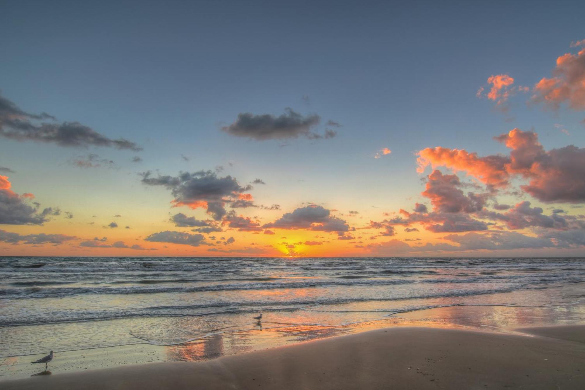 Sunchase IV Villa South Padre Island Rum bild